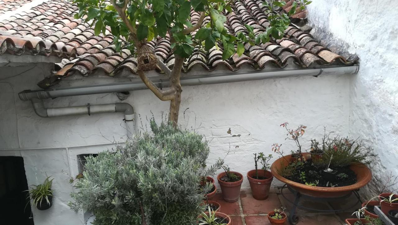 Vila El Horno De La Tobala Grazalema Exteriér fotografie